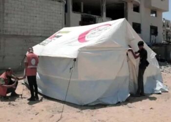 متحدہ عرب امارات کی خان یونس کے بے گھر فلسطینیوں کو امداد کی فراہمی