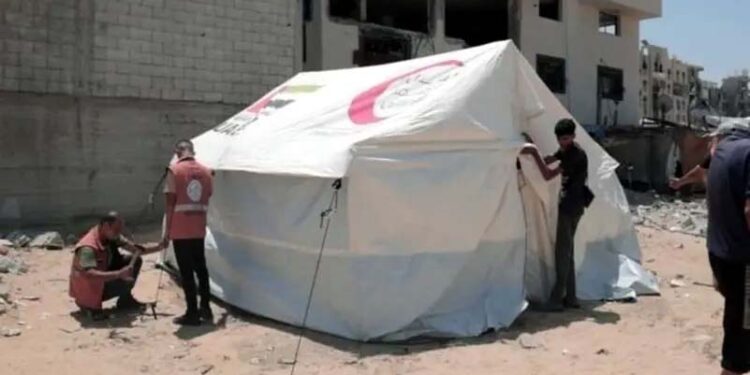 متحدہ عرب امارات کی خان یونس کے بے گھر فلسطینیوں کو امداد کی فراہمی