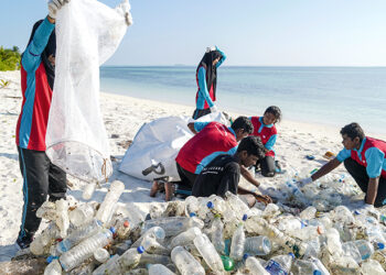 عالمی بینک کا 6 جنوبی ایشیائی ممالک پر پلاسٹک آلودگی پھیلانے کا الزام