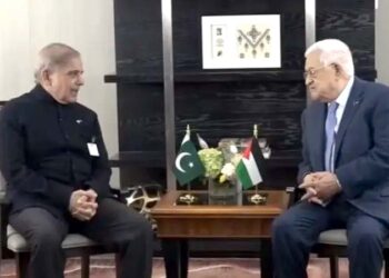 سلامتی کونسل اسرائیل کو اس کے جرائم پر جوابدہ ٹھہرائے: شہباز شریف