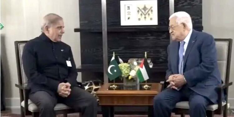 سلامتی کونسل اسرائیل کو اس کے جرائم پر جوابدہ ٹھہرائے: شہباز شریف