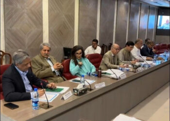 خصوصی کمیٹی اجلاس، ن لیگ اور پی پی آئینی عدالتوں کے قیام سے دست بردار