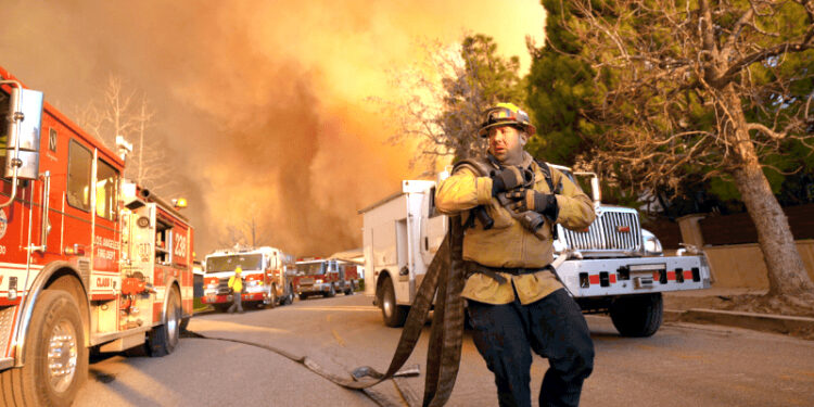 لاس اینجلس کے جنگلات میں آگ سے مرنے والوں کی تعداد 24 ہوئی