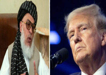 طالبان نائب وزیر خارجہ نے ڈونلڈ ٹرمپ کو جراتمند لیڈر قرار دے دیا