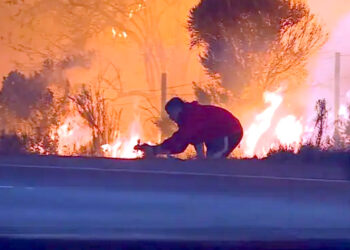 ہر سمت موت کا راج، ٹرمپ لاس اینجلس کے سیاستدانوں پر پھر برہم
