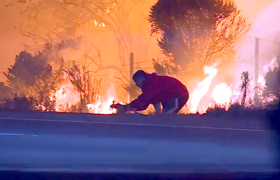 ہر سمت موت کا راج، ٹرمپ لاس اینجلس کے سیاستدانوں پر پھر برہم