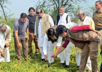 نوح میں ژالہ باری سے فصلوں کو نقصان: ایم ایل اے آفتاب نے کیا گاؤں کا دورہ