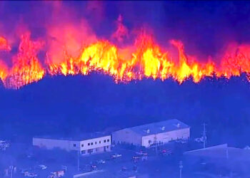 نیوجرسی کے قریب جنگلات میں آتشزدگی، ساڑھے 12 ہزار ایکٹر اراضی متاثر