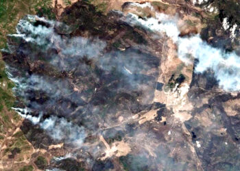 روس: جنگلات میں خوفناک آگ بھڑک اٹھی، 6 لاکھ ہیکٹر سے زائد کا رقبہ جل کر خاکستر