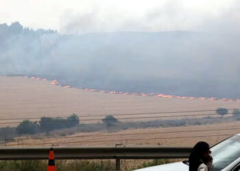 جنگلات کی آگ بے قابو،اسرائیل بے بس،نیتن یاہو کا 13 مشتبہ افراد کوگرفتارکرنے کا دعویٰ