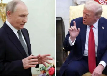 امریکی صدر نے ایک بار پھر پوتن کو پاگل قرار دے دیا،یوکرین کے خلاف روسی حملوں پر شدید تنقید