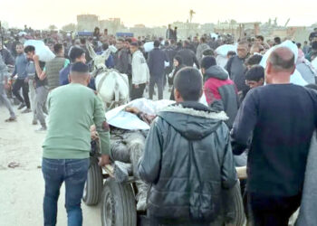 غزہ کے امدادی مقام پرافراتفری کیلئے جی ایچ ایف کا تقسیمی نظام ذمہ دار