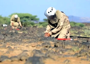 یمن میں ایک ہفتے کے دوران مزید  1,139 بارودی سرنگیں تلف