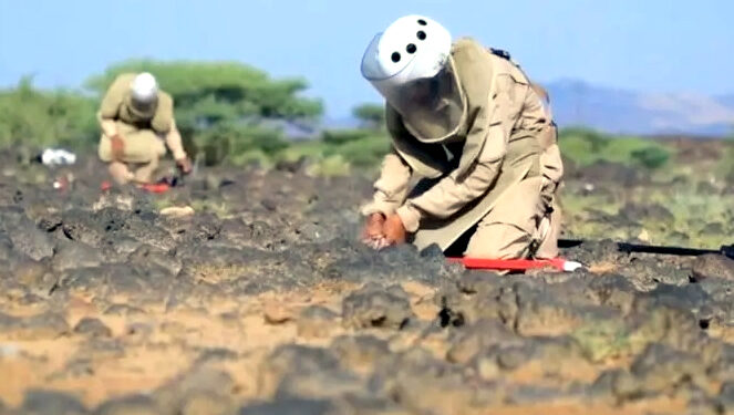 یمن میں ایک ہفتے کے دوران مزید  1,139 بارودی سرنگیں تلف