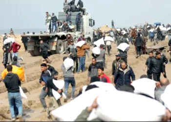 امداد کے متلاشی 8 افراد سمیت 41 فلسطینی شہید