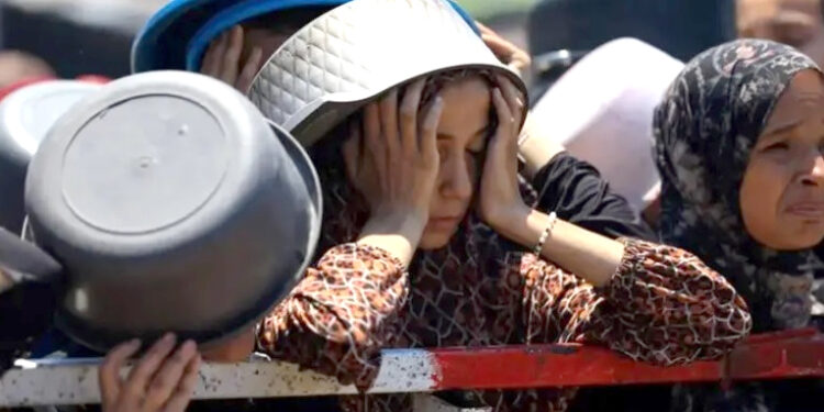 بہتر گھنٹوں میں غذائیت کی قلت اور فاقوں سے 21 بچے ہلاک : الشفاء ہسپتال