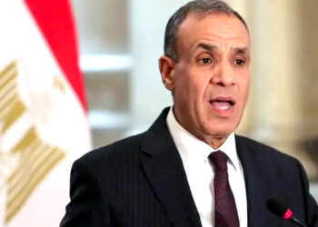 مصری وزیرخارجہ نے دو ریاستی حل سعودی اور فرانسیسی کردار کو سراہا