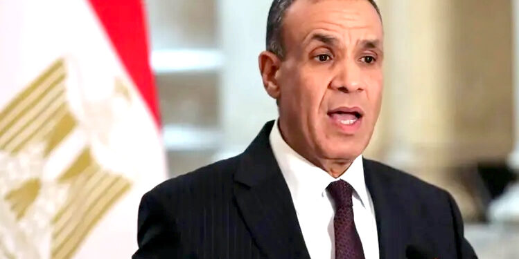 مصری وزیرخارجہ نے دو ریاستی حل سعودی اور فرانسیسی کردار کو سراہا