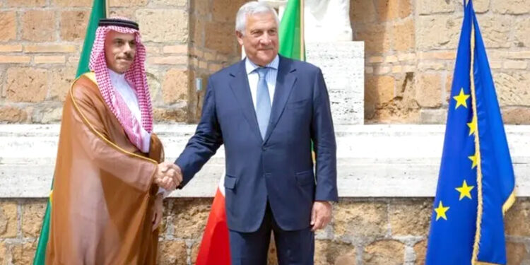 فلسطینی آبادی کی جبری نقل مکانی کو مسترد کرتے ہیں: ریاض