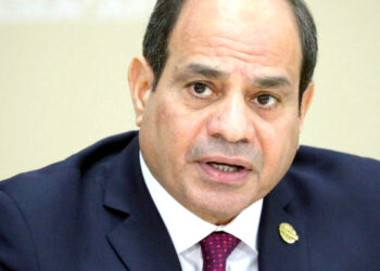 اسرائیل کی غزہ جنگ کا مقصد فلسطینیوں کو بھوکا مار کر ان کی جدوجہد کو کچلنا : مصری صدر