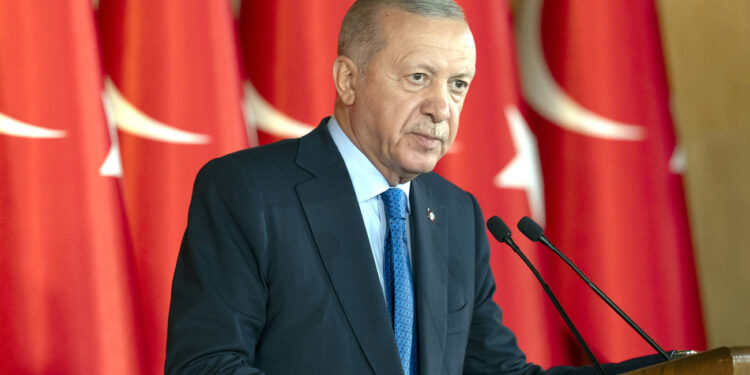 ترکی-جاپان دوستی غزہ بحران پر قابو پانے کا ایک اہم وسیلہ :اردوان