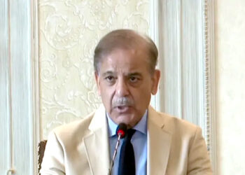 ہمارے اداروں اور شہدا کی تضحیک ناقابل برداشت