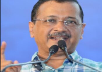 دہلی میں سرکاری اسکولوں کے اساتذہ بچوں کو پڑھائیں گے یا سڑکوں پر کتوں کی گنتی کریں گے؟:کیجریوال