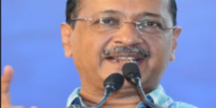 دہلی میں سرکاری اسکولوں کے اساتذہ بچوں کو پڑھائیں گے یا سڑکوں پر کتوں کی گنتی کریں گے؟:کیجریوال