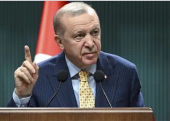 ترکیہ عالمی نظام کی بدلتی ہوئی شکل میں ایک مرکزی  طاقت کے طور پر ابھرے گا: صدر ایردوان