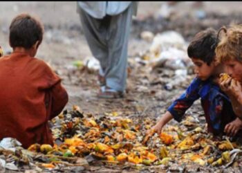 اقوام متحدہ کی رپورٹ نے پاکستان کے غذائی نظام میں غذائیت کی کمی کو اجاگر کیا