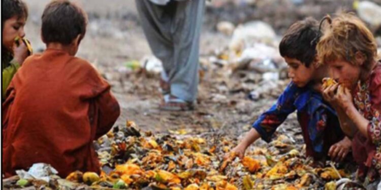 اقوام متحدہ کی رپورٹ نے پاکستان کے غذائی نظام میں غذائیت کی کمی کو اجاگر کیا