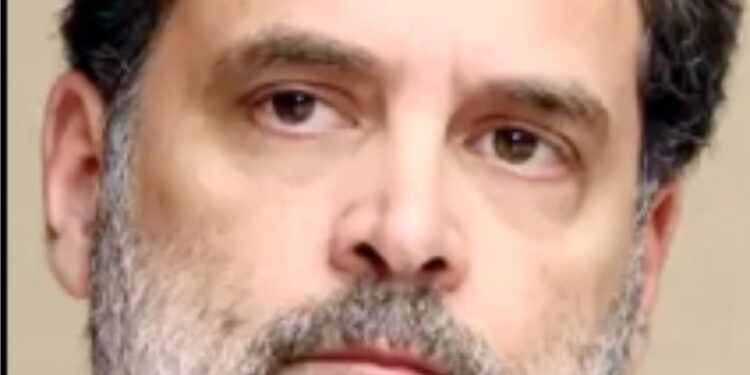 امریکہ کے ساتھ معاہدہ ،کپاس کے کسان اور کپڑا برآمد کنندہ دونوں پر گہری چوٹ ہے: راہل