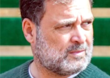 مجھے لگتا ہے کہ جنرل نروَنے سچ بول رہے ہیں: راہل