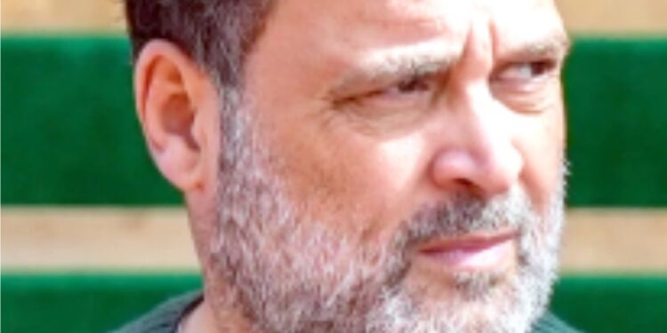 مجھے لگتا ہے کہ جنرل نروَنے سچ بول رہے ہیں: راہل