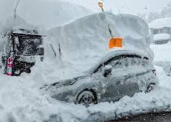 جاپان میں شدید برفباری، 46 افراد ہلاک