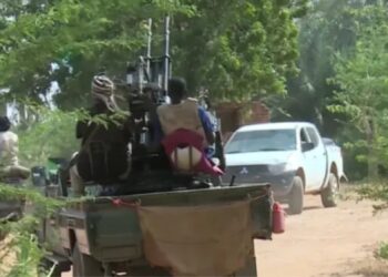 ریپڈ سپورٹ الفاشر میں نسل کشی کی مرتکب ہے