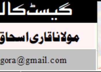 مسلمان اور آزمائش کا عہد: صبر، حکمت اور بقا کی جستجو