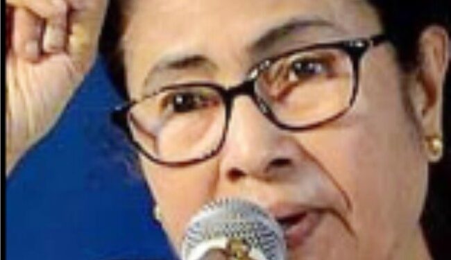 بی جے پی کا ممتا پر انتخابی عمل متاثر کرنے اور  ووٹروں کو دھمکانے کا الزام، کمیشن سے شکایت