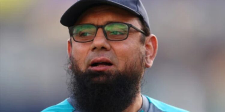 ثقلین مشتاق نے شاداب اور نواز کی ناکامی کا ذمہ دار کوچ مائیک ہیسن کو قرار دیا