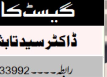 بہار میں اقتدار کی نئی بساط اور بی جے پی کی حکمتِ عملی