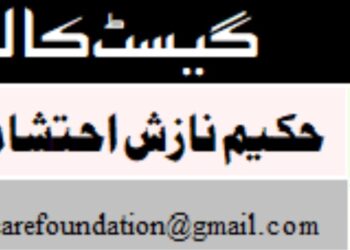 اسرائیل میں امریکی سفیر مائیک ہکابی کا متنازع بیان