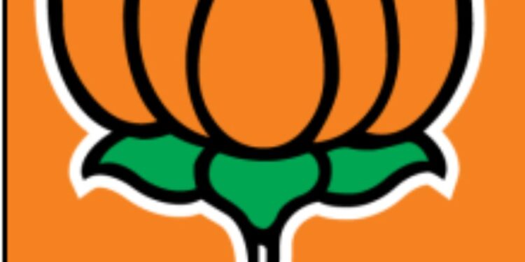 کمپرومائزڈ پی ایم مودی نہیں بلکہ گاندھی خاندان ہے،  پولیس کو دیکھ کر چھپ جاتے ہیں راہل کے ببر شیر: بی جے پی