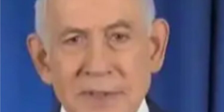 طیب اردگان صرف ایک ’کاغذی شیر‘ ہیں