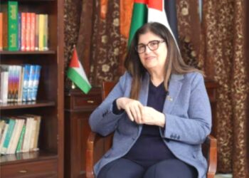 فلسطین کو اب بیانات کی نہیں عمل کی ضرورت ہے: شاہین