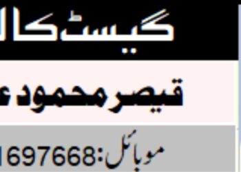 ’’الیکشن آتے ہی ہر پارٹی چارہ گر ہونے کا دعویٰ کرتی ہے‘‘