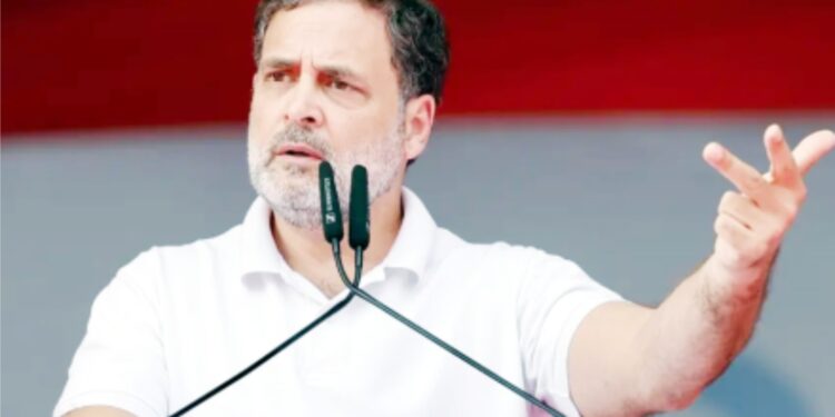 گریٹ نکوبار پروجیکٹ پر راہل نے حکومت سے مانگا جواب