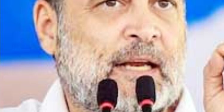 مودی دہلی سے تمل ناڈو پر حکومت کرنا چاہتے ہیں