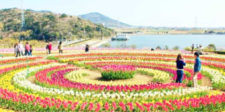 امسال 3لاکھ مقامی و غیر ملکی سیاح باغ کی سیر سے لطف اندوز