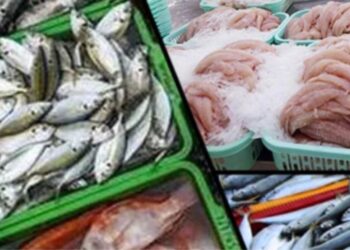 ہندوستان کی سمندری خوراک کی برآمدات دوگنی