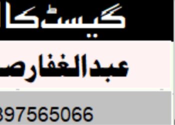 ہندوستانی سیاست میں مسلمان پسماندہ ؛ وجوہات اور حل